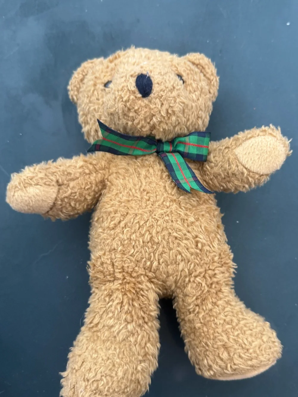 VINTAGE Toy Company VTG 90s Bear Plush Stuffed Animal Pocket Petite Small Plaid